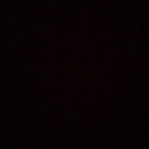 Meet your Posher, Paige